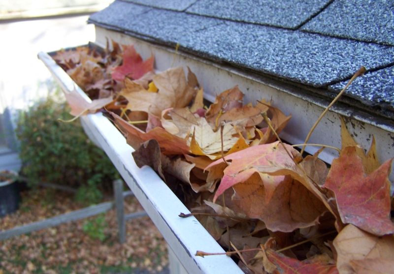 Gutter Screen Installation Gutter Screen Installation