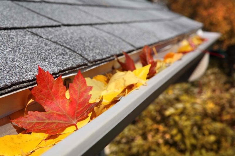 Rainwater Harvesting System Installation Rainwater Harvesting System Installation
