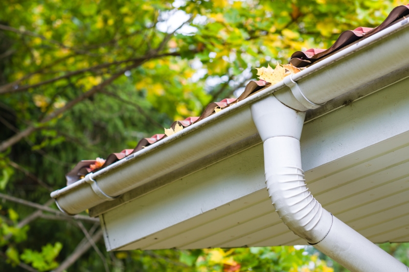 Gutter Flushing Gutter Flushing