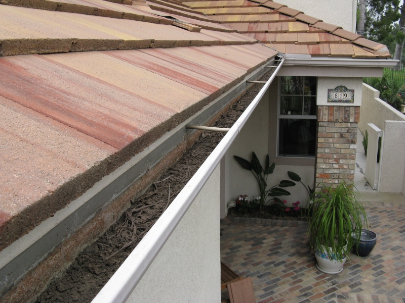 Wildlife-Proofing Gutters (Bird, Squirrel, Rodent Guards) Wildlife-Proofing Gutters (Bird, Squirrel, Rodent Guards)